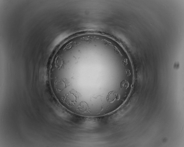 X0000102221267200807251202