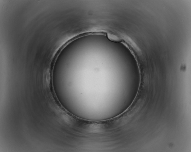 X0000102221268200807251202