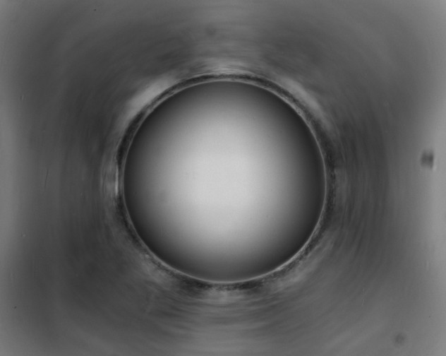 X0000102221269200807251202