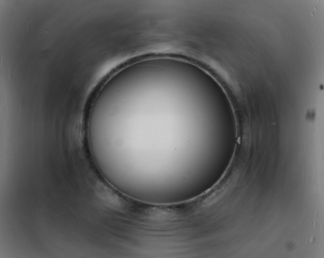 X0000102221270200807251202