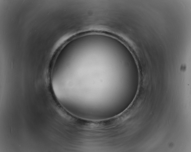 X0000102221271200807251202