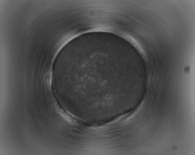 X0000102221276200807251202
