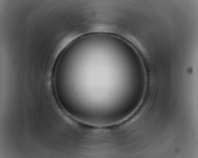 X0000102221277200807251202