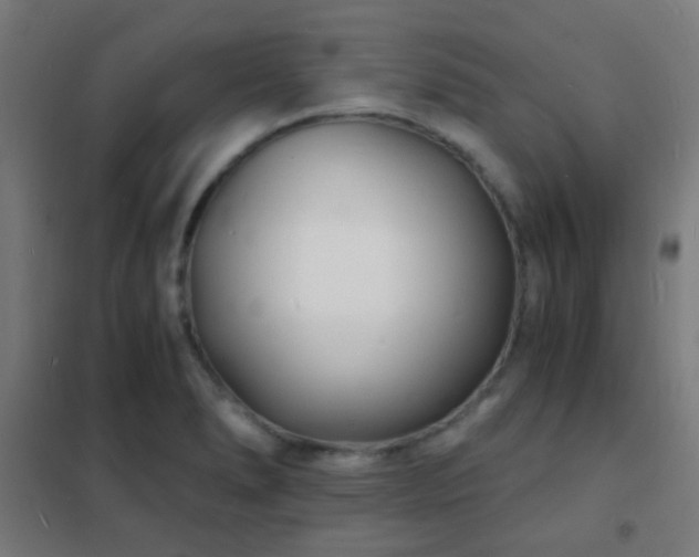 X0000102221278200807251202
