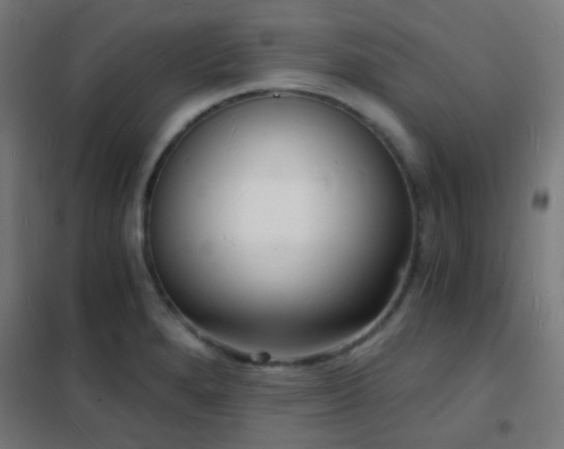 X0000102221280200807251202
