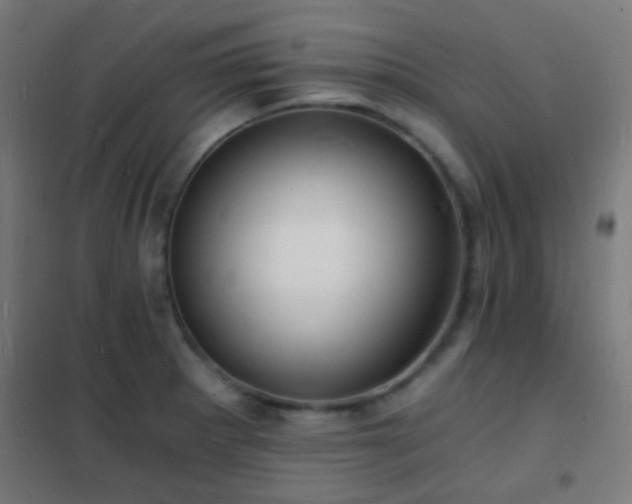 X0000102221281200807251202