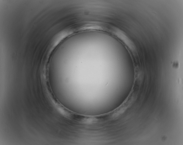 X0000102221282200807251202