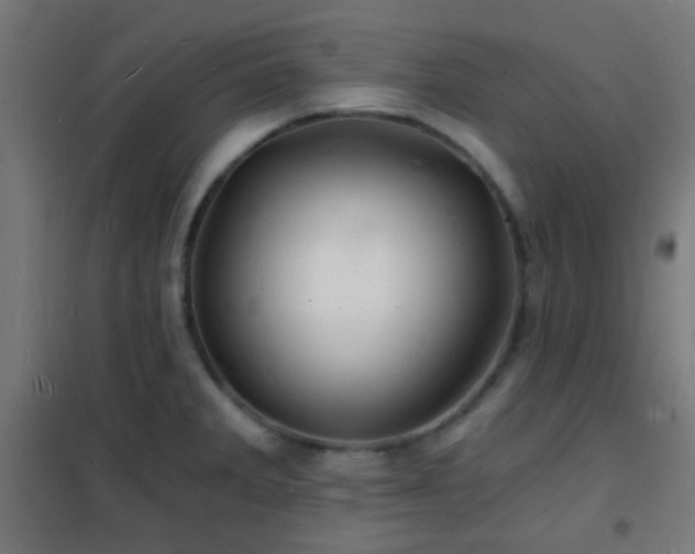 X0000102221285200807251202