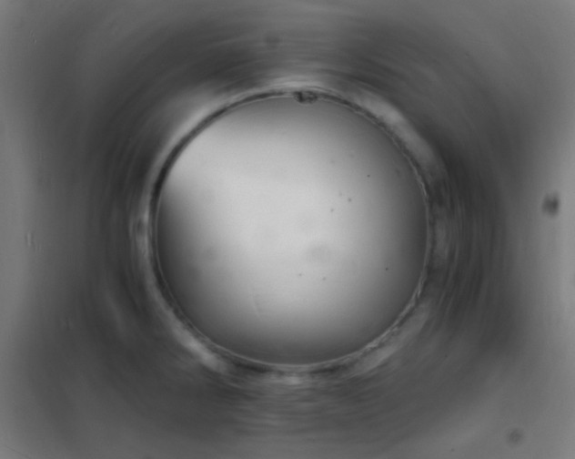 X0000102221286200807251202