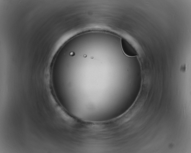 X0000102221287200807251202