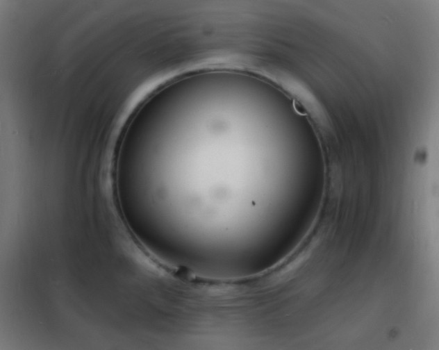 X0000102221288200807251202