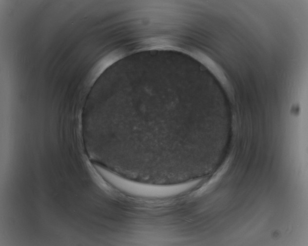 X0000102221289200807251202