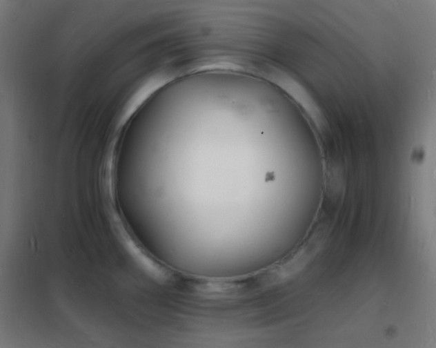 X0000102221290200807251202