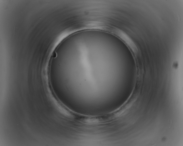 X0000102221291200807251202