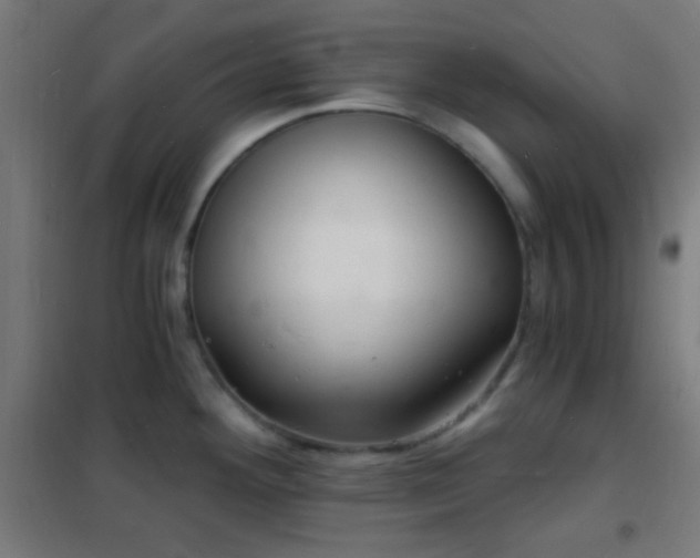 X0000102221292200807251202