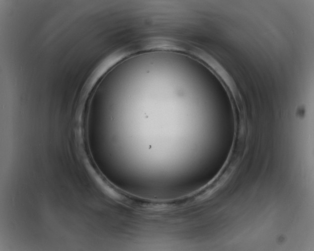 X0000102221293200807251202