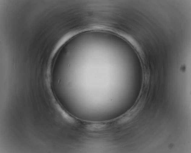 X0000102221294200807251202