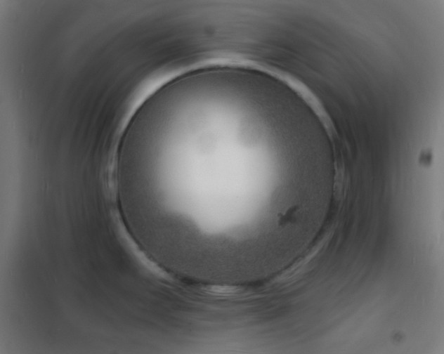 X0000102221295200807251202