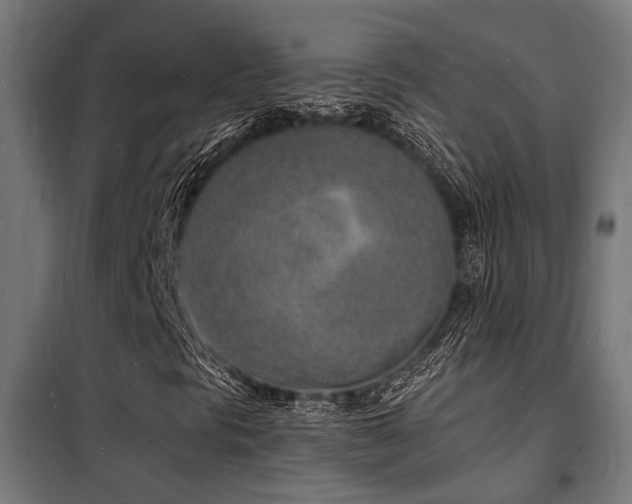 X0000102221297200807251201