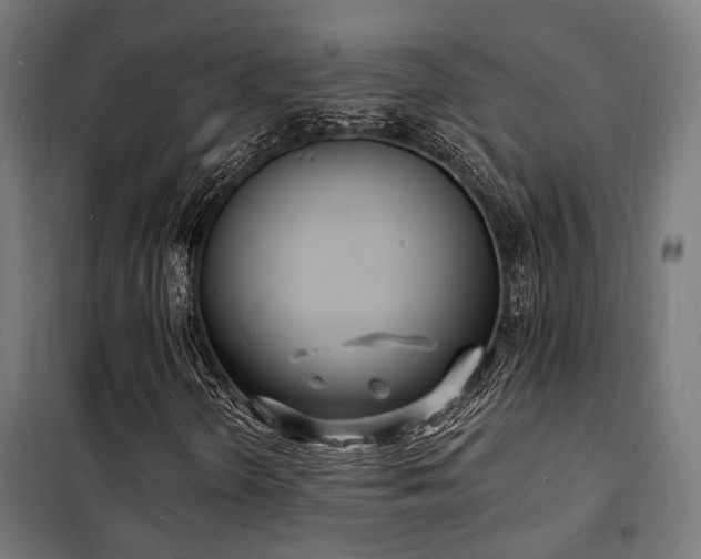 X0000102221298200807251201