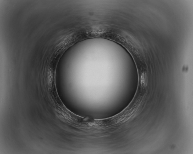 X0000102221299200807251201