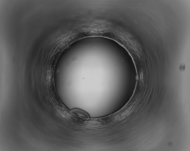X0000102221300200807251201