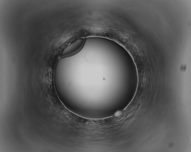 X0000102221301200807251201