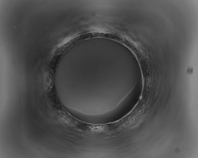 X0000102221303200807251201