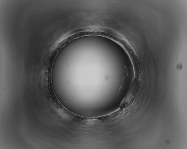 X0000102221304200807251201