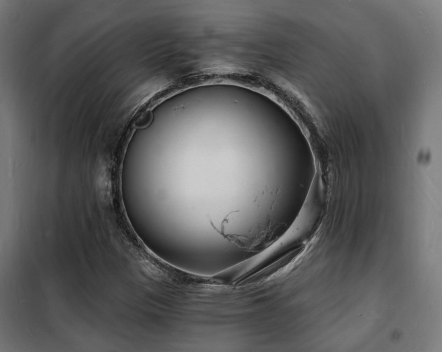 X0000102221305200807251201