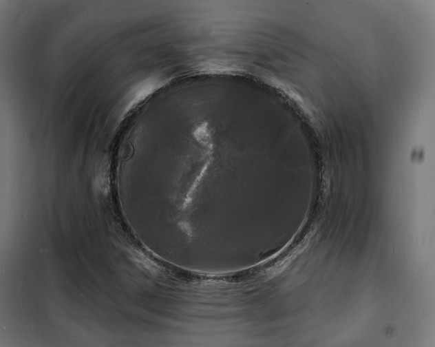 X0000102221306200807251201