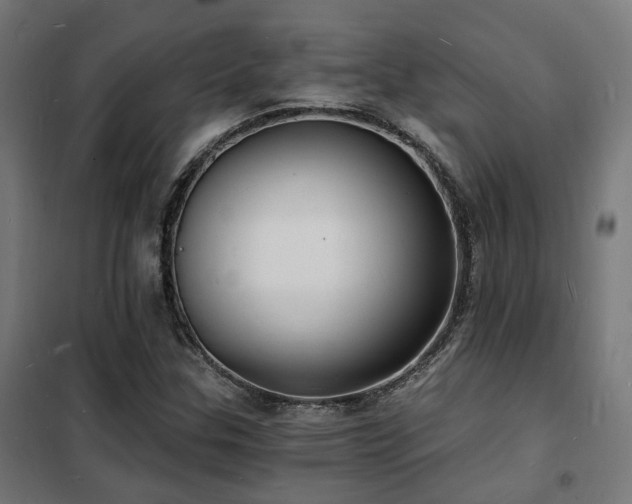 X0000102221307200807251201
