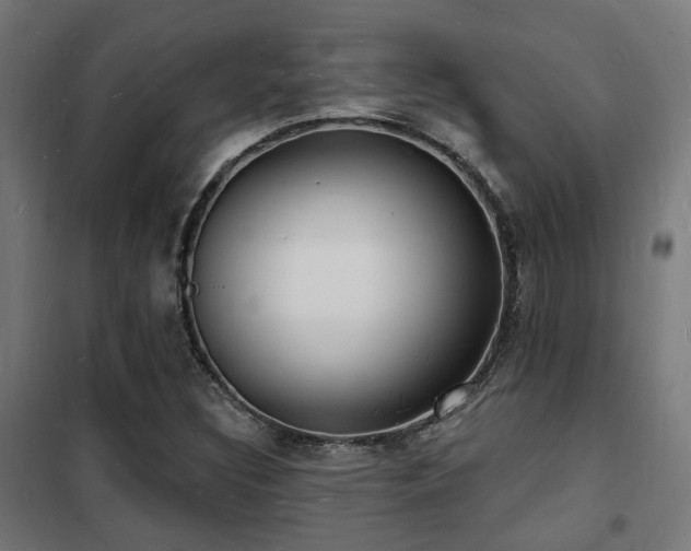 X0000102221308200807251201