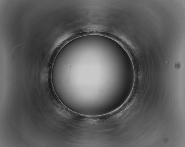 X0000102221309200807251201