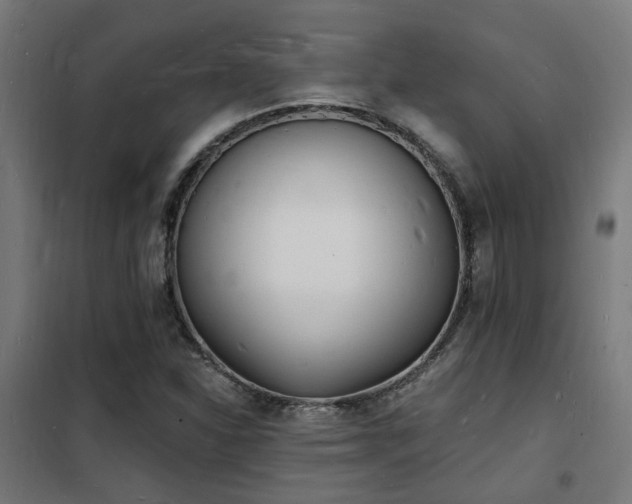 X0000102221310200807251201