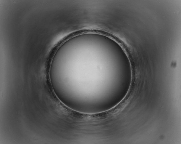 X0000102221311200807251201