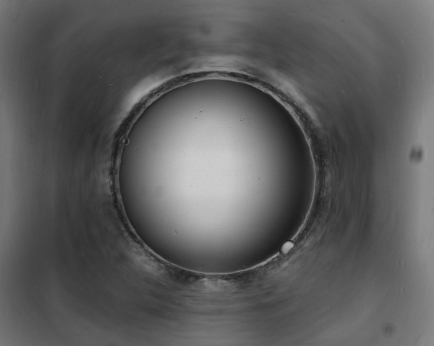 X0000102221312200807251201