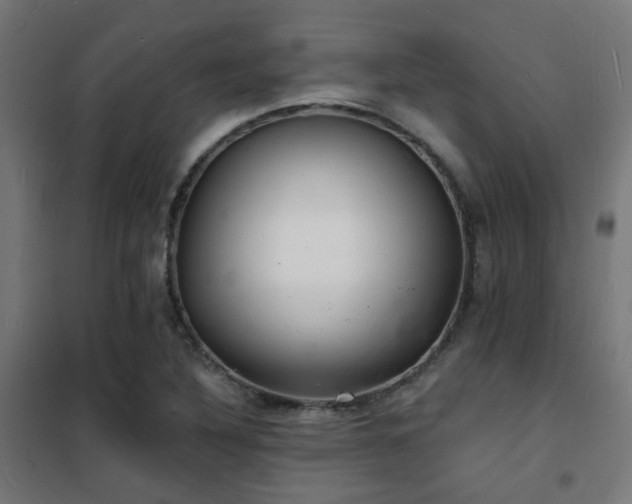 X0000102221316200807251201