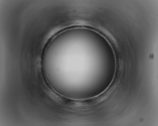 X0000102221318200807251201