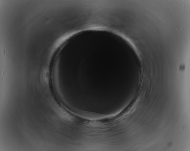 X0000102221319200807251201