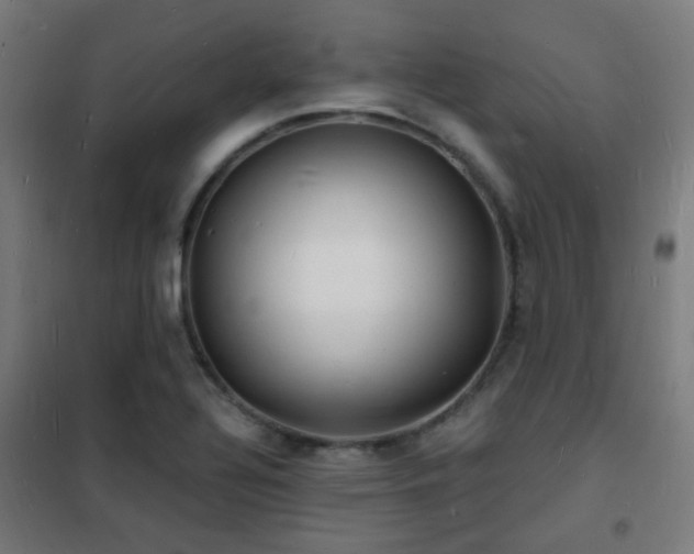 X0000102221320200807251201