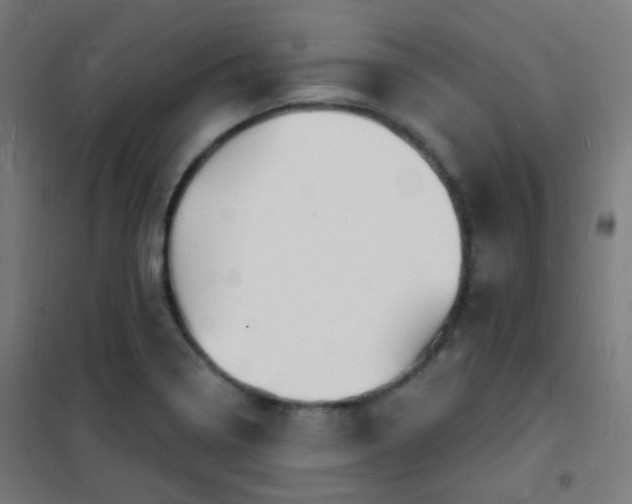X0000102221322200807251201