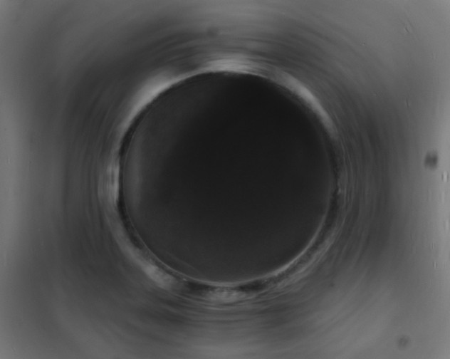 X0000102221323200807251201