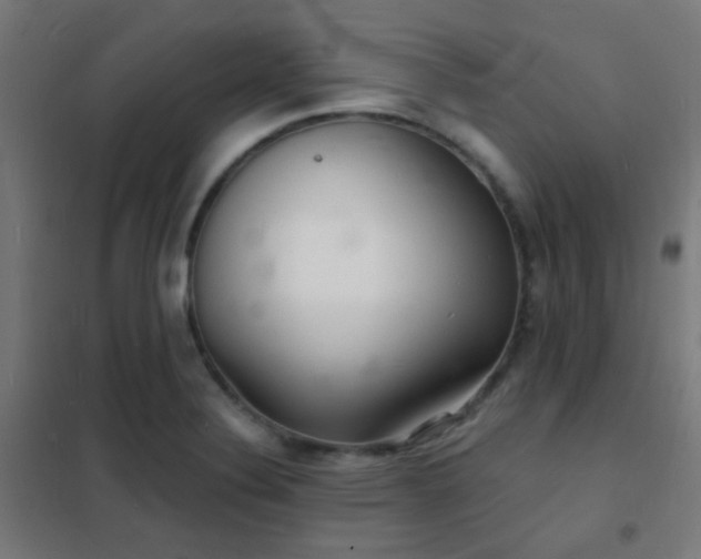 X0000102221324200807251201