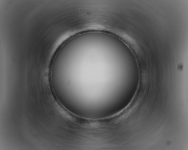 X0000102221326200807251201