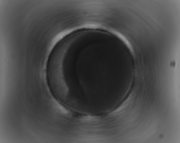 X0000102221327200807251201