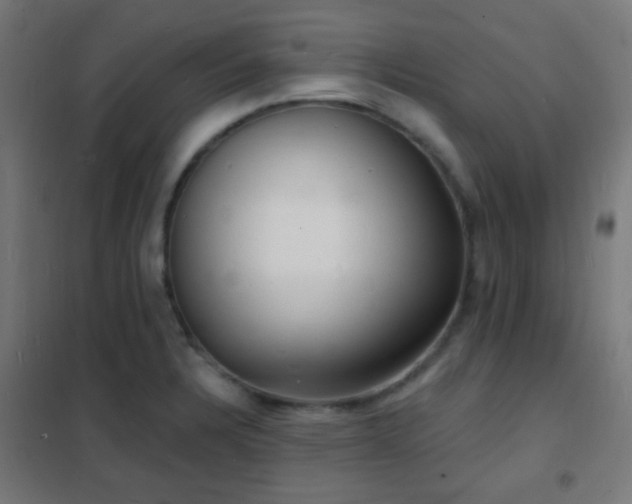 X0000102221328200807251201