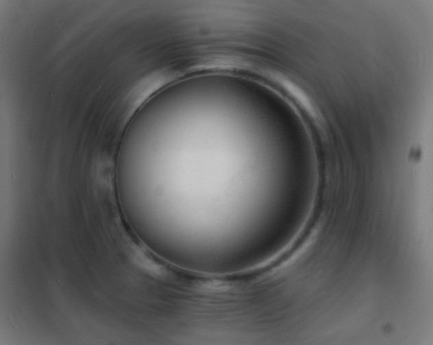 X0000102221329200807251201