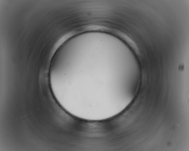 X0000102221330200807251201