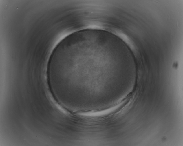 X0000102221331200807251201